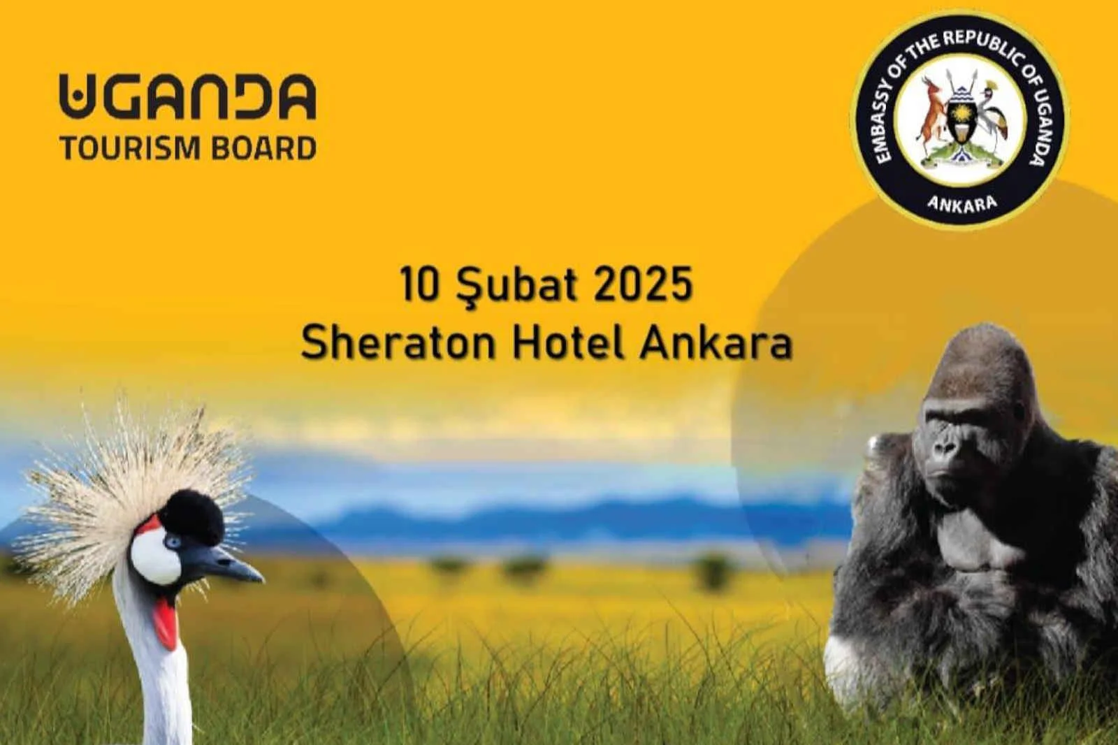 Ugandalı turizmciler, Türk seyahat acentalarıyla bir araya gelecek