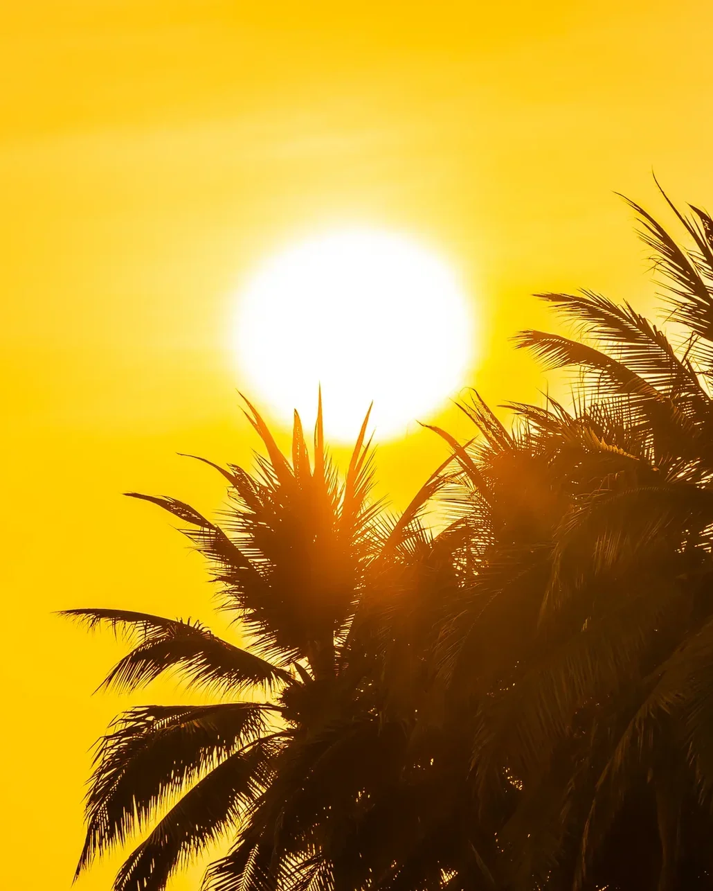 Sessiz katil Avrupa’da: Sıcak hava dalgası yüzünden 1300 kişi hayatını kaybetti