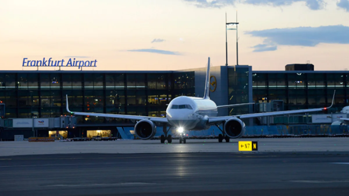 Frankfurt Havalimanı'ndaki elektrik kesintisine fındık faresi neden oldu