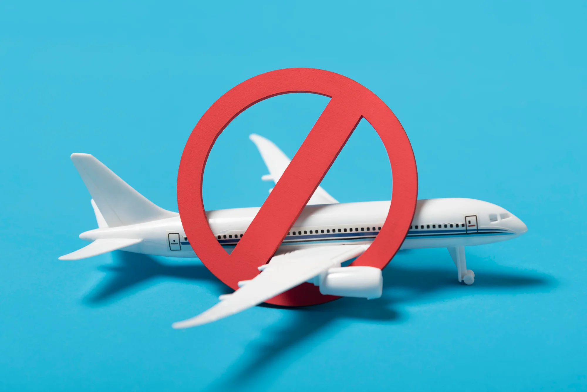Vnukovo Havalimanı tüm uçuşları askıya aldı