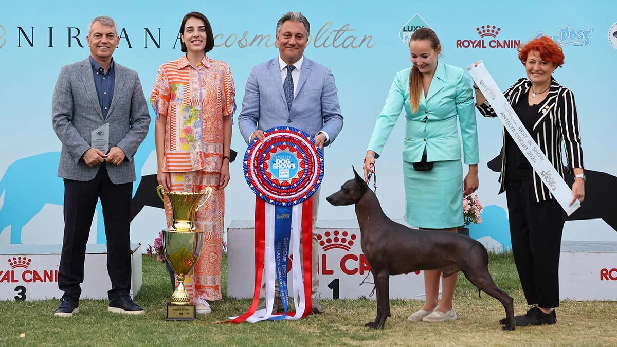 Nirvana Cosmopolitan, köpek dostlarını bir araya getirdi