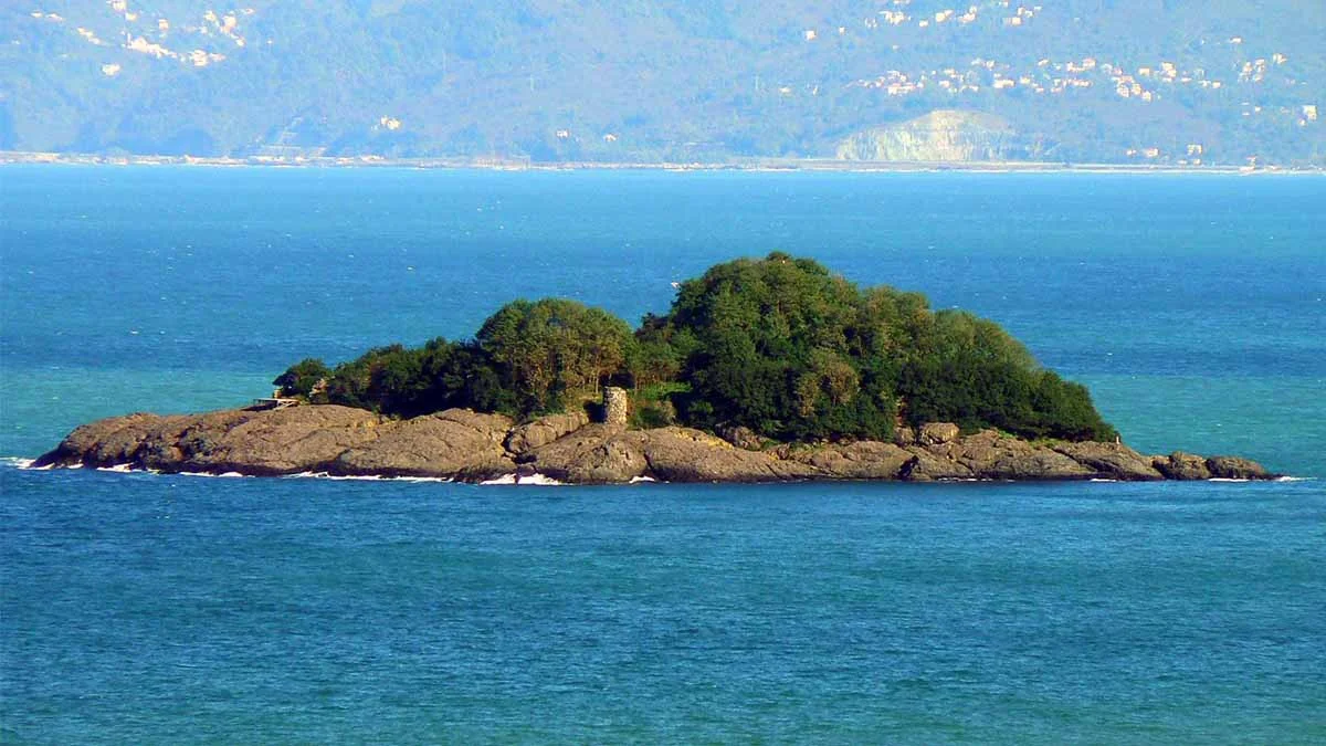 Doğu Karadeniz’in yaşanabilir tek adası turizme açılıyor