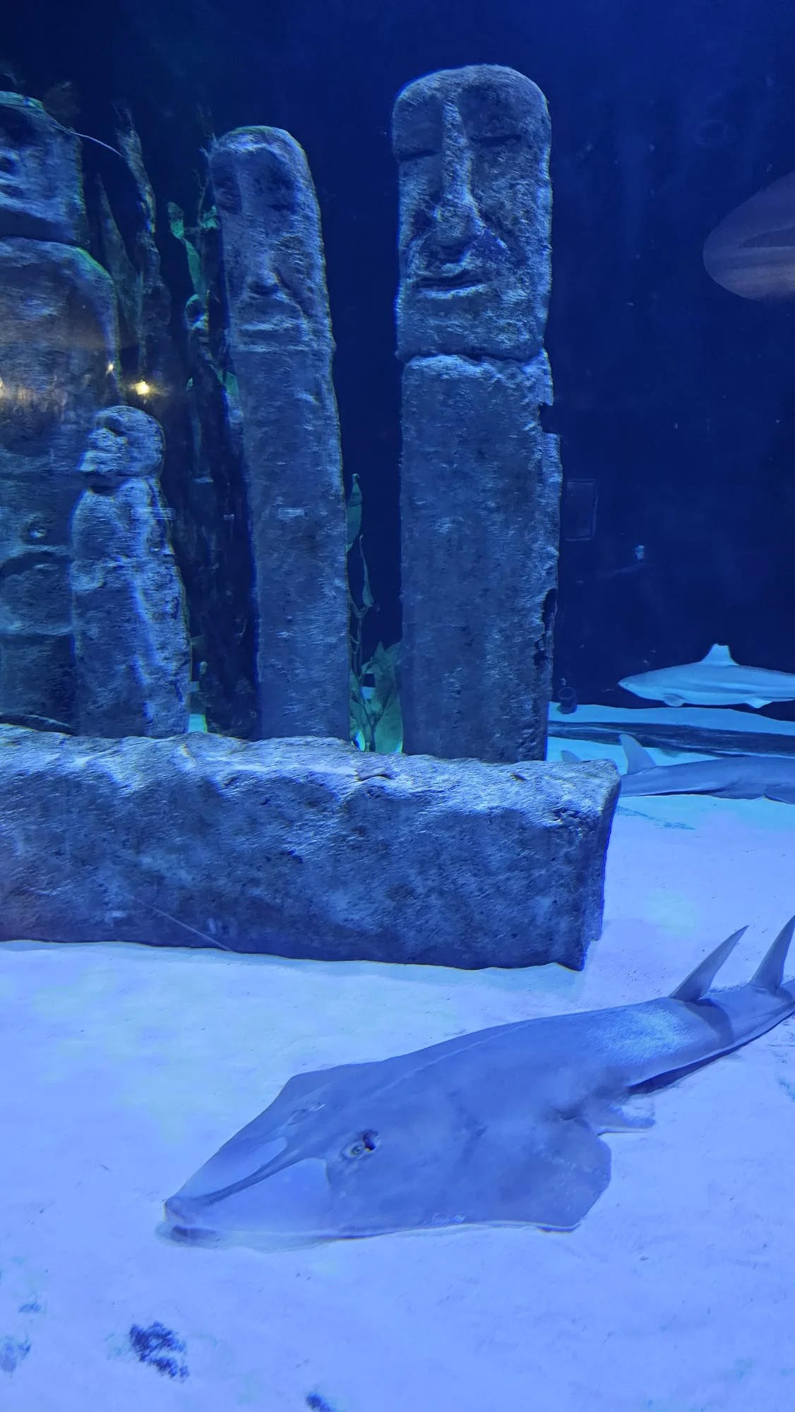 Antalya Aquarium, Antalya’yı yazın ortasında kar destinasyonu haline getirdi