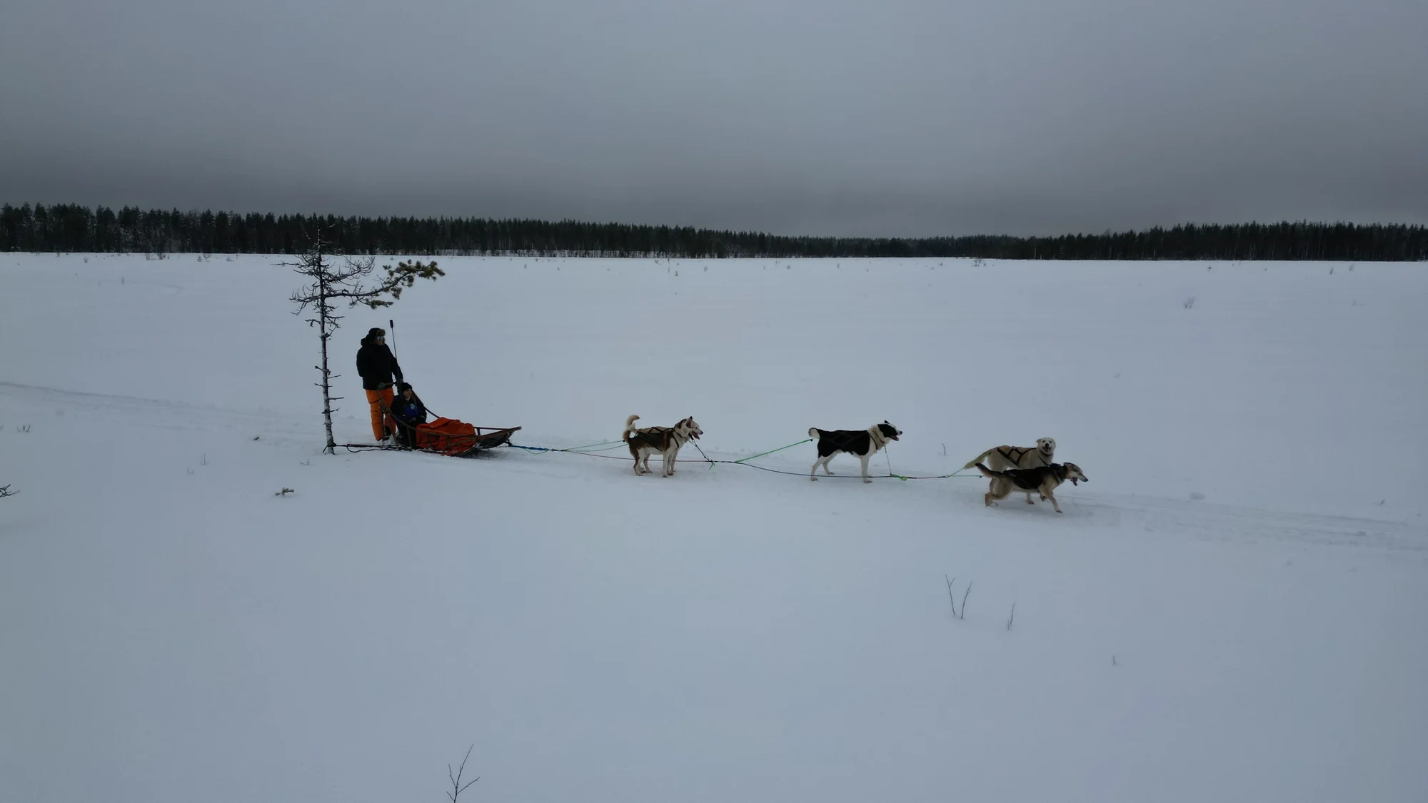 Finlandiya, Türk turistlerin yeni gözdesi oldu