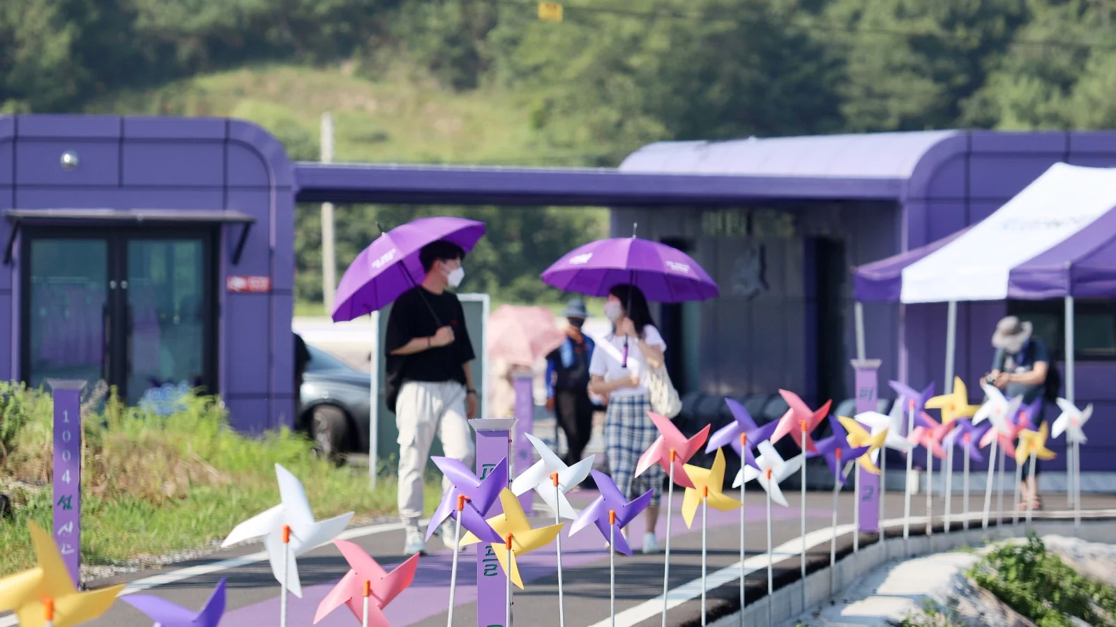 Mor renk, adanın kaderini değiştirdi: Turizm merkezi haline geldi