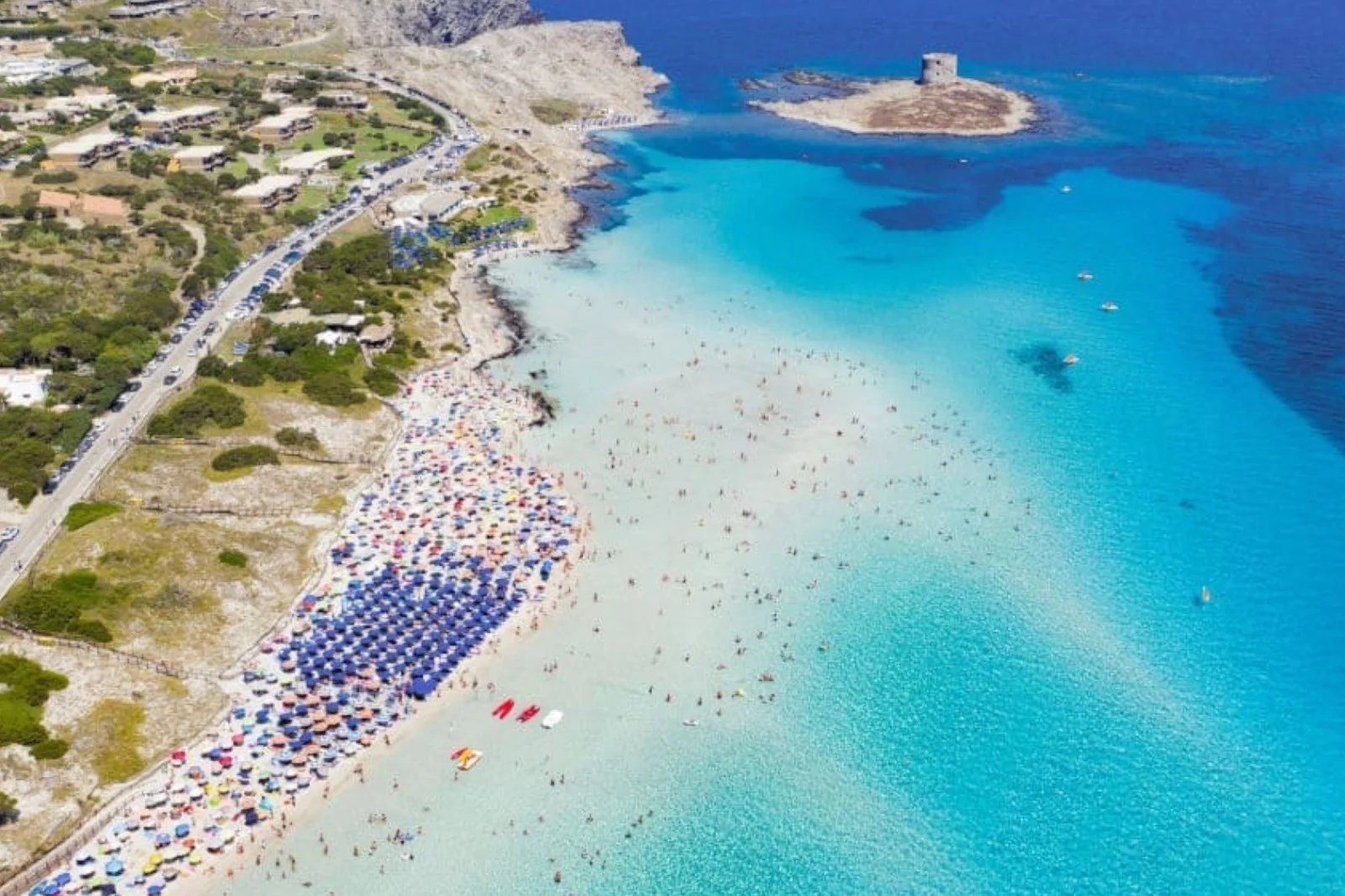 Turistler hatıra diye alıyor, binlerce euro ceza yiyor
