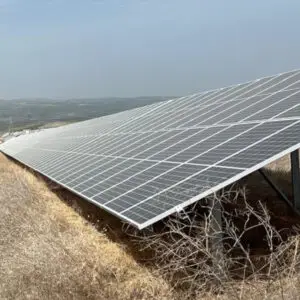 Royal Wings ve Royal Taj Mahal kullandığı enerjinin %100’ünü güneşten elde ediyor