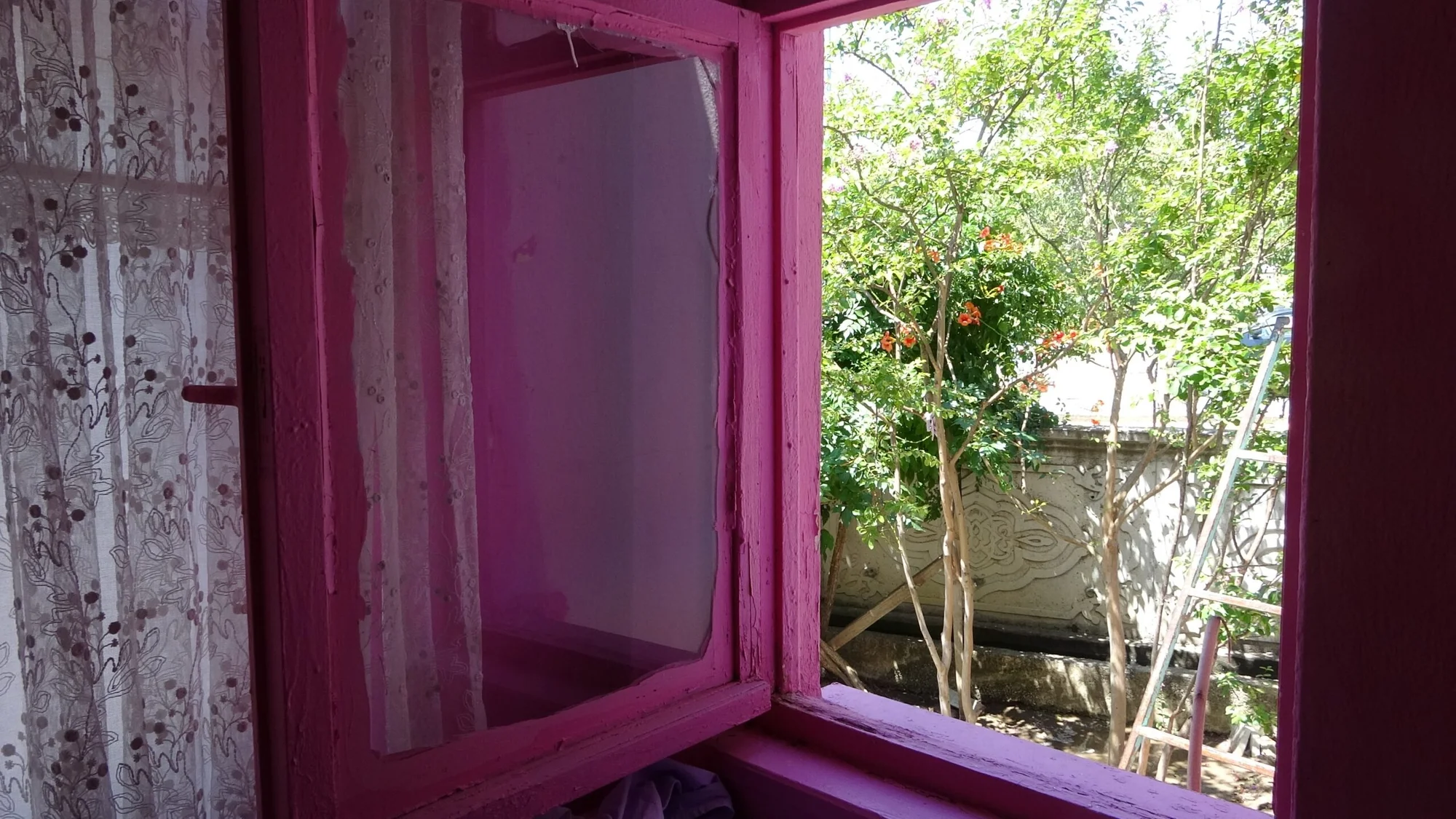 Sakine teyzenin pembe hayatı ziyaretçi akınına uğruyor