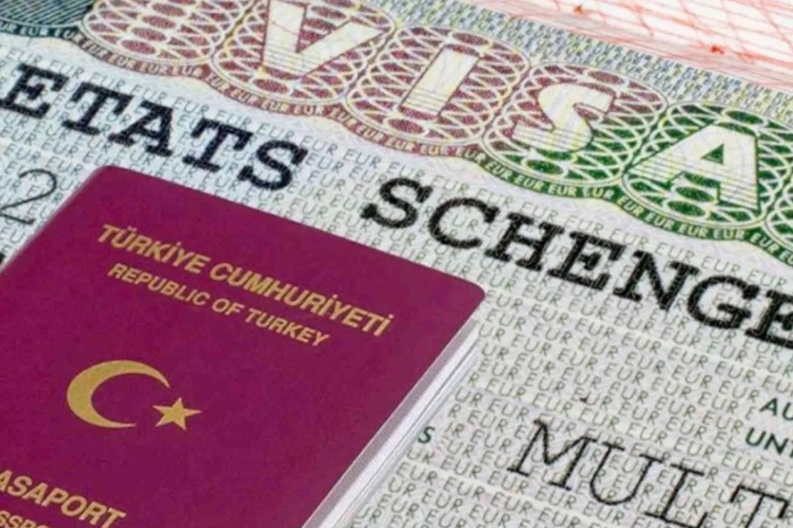 Vize işlemlerinde danışmanlık şirketleri süreci yavaşlatıyor!
