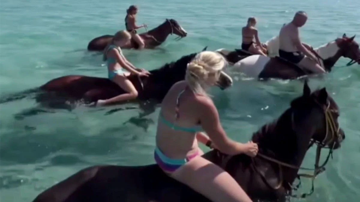 Antalya'da turistlerin denizdeki at turu tepki çekti