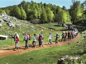 Krizin çözümü: özel ilgi turizmi