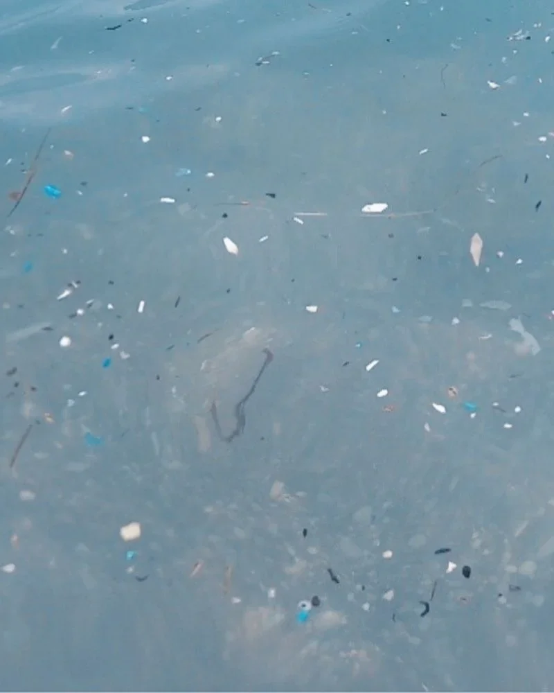 Antalya'daki mikroplastik tehdidi TBMM'de
