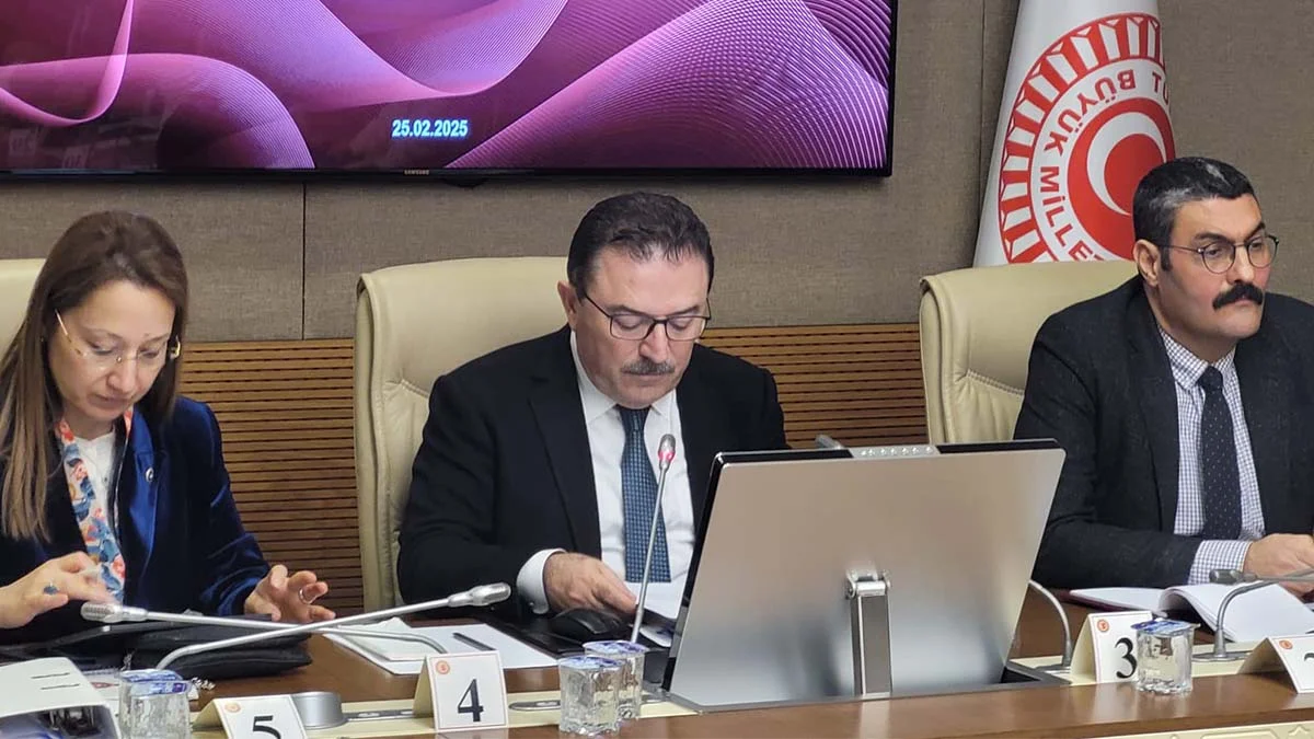 Meclis Araştırma Komisyonu, Kartalkaya'da inceleme yapacak