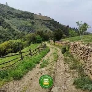 Efeler Yolu, Green Destinations’ın 'En İyi 100 Hikâye' listesinde