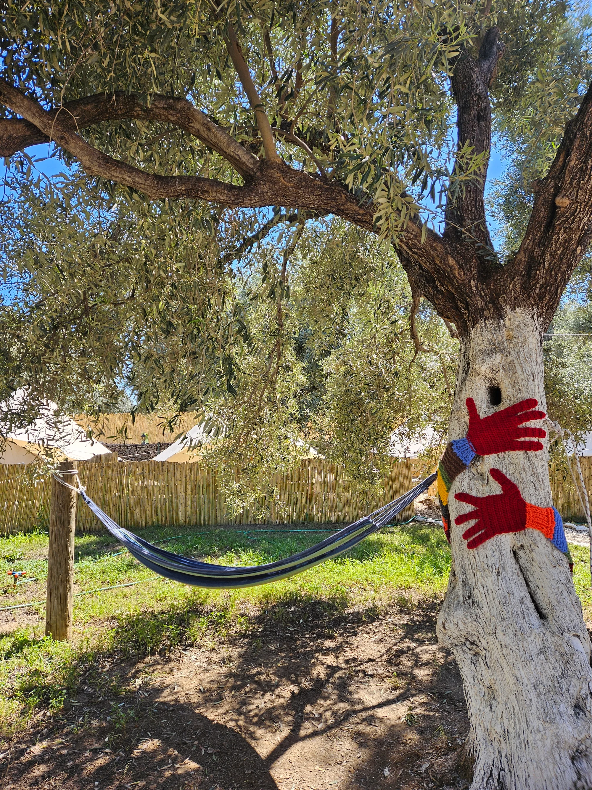Ruina Glamping 2