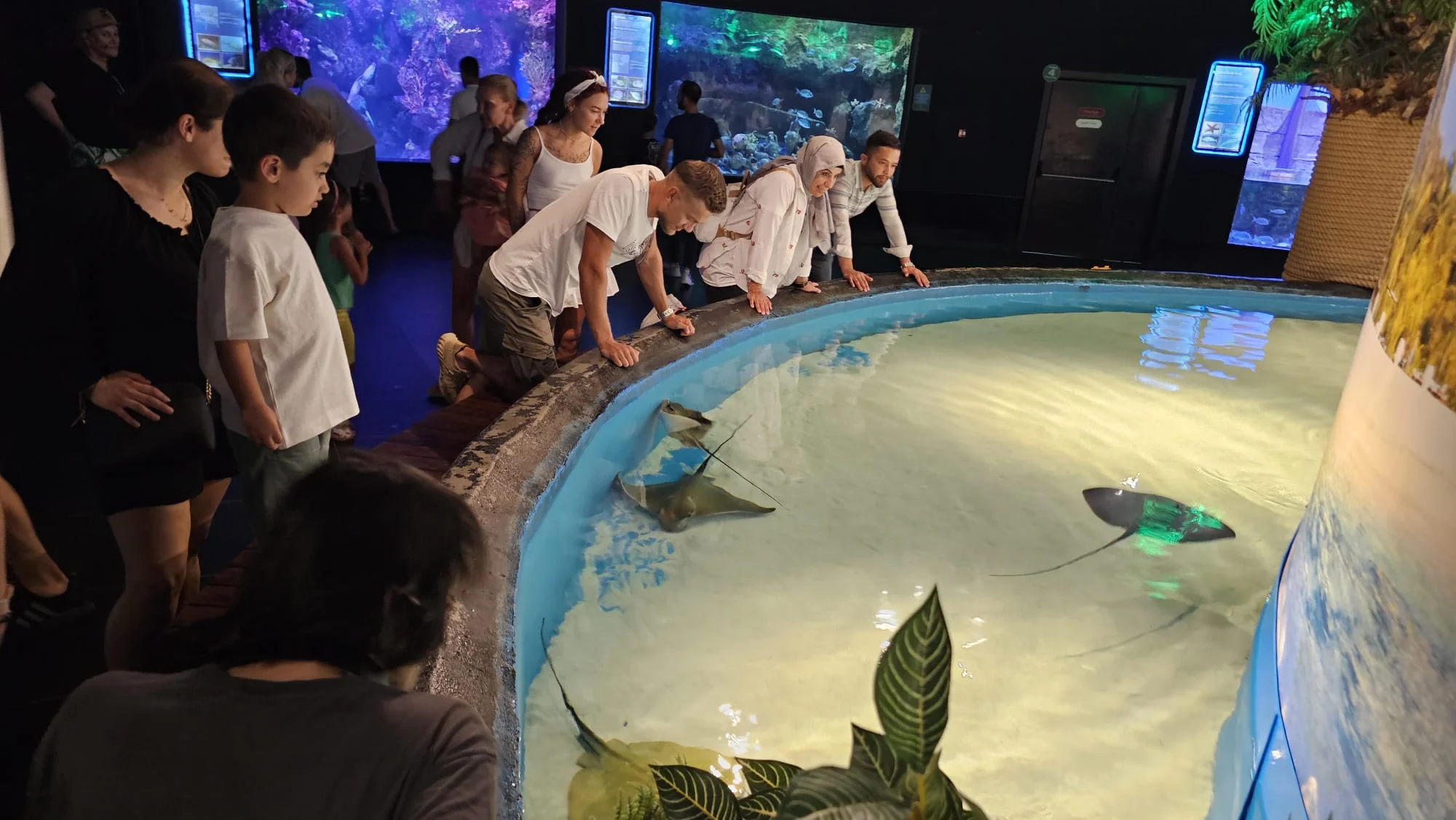 Antalya Aquarium, Antalya’yı yazın ortasında kar destinasyonu haline getirdi