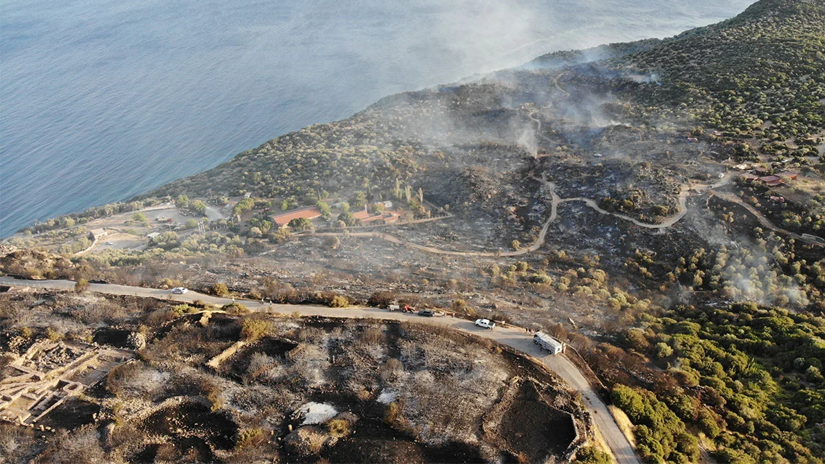 7 bin yıllık Assos Antik Kenti, orman yangınından etkilendi