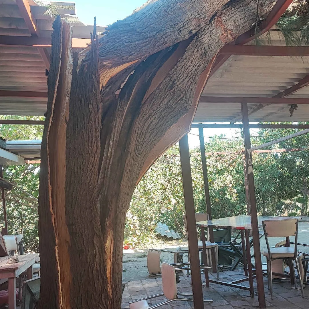 Turuncu kodla uyarılan turizmin başkentinde fırtına mesaisi