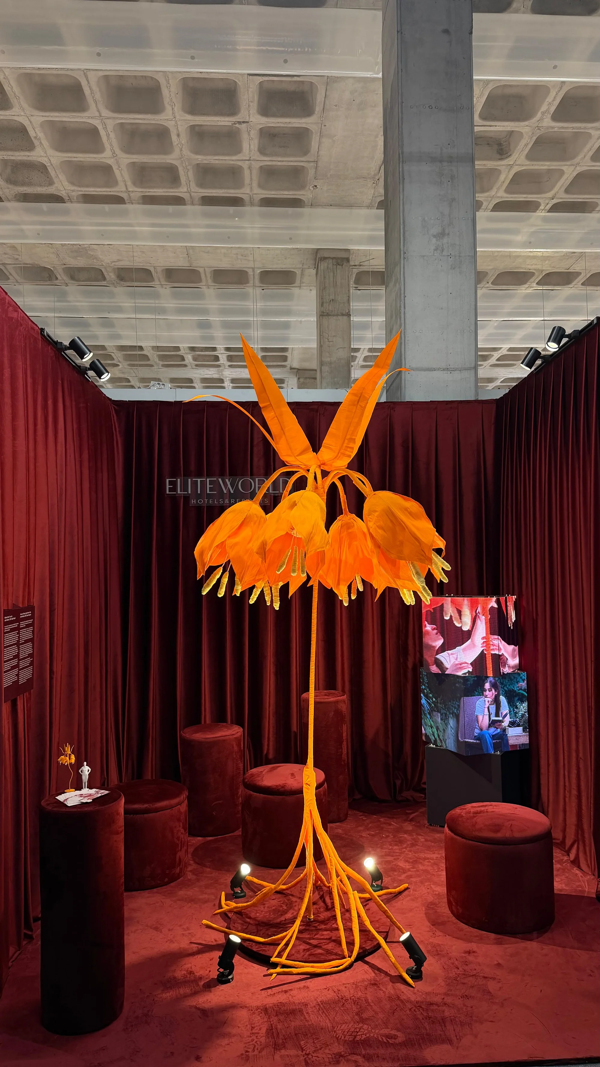Elite World’ün 50 yıllık yolculuğu Contemporary Istanbul’da sanatla buluşuyor