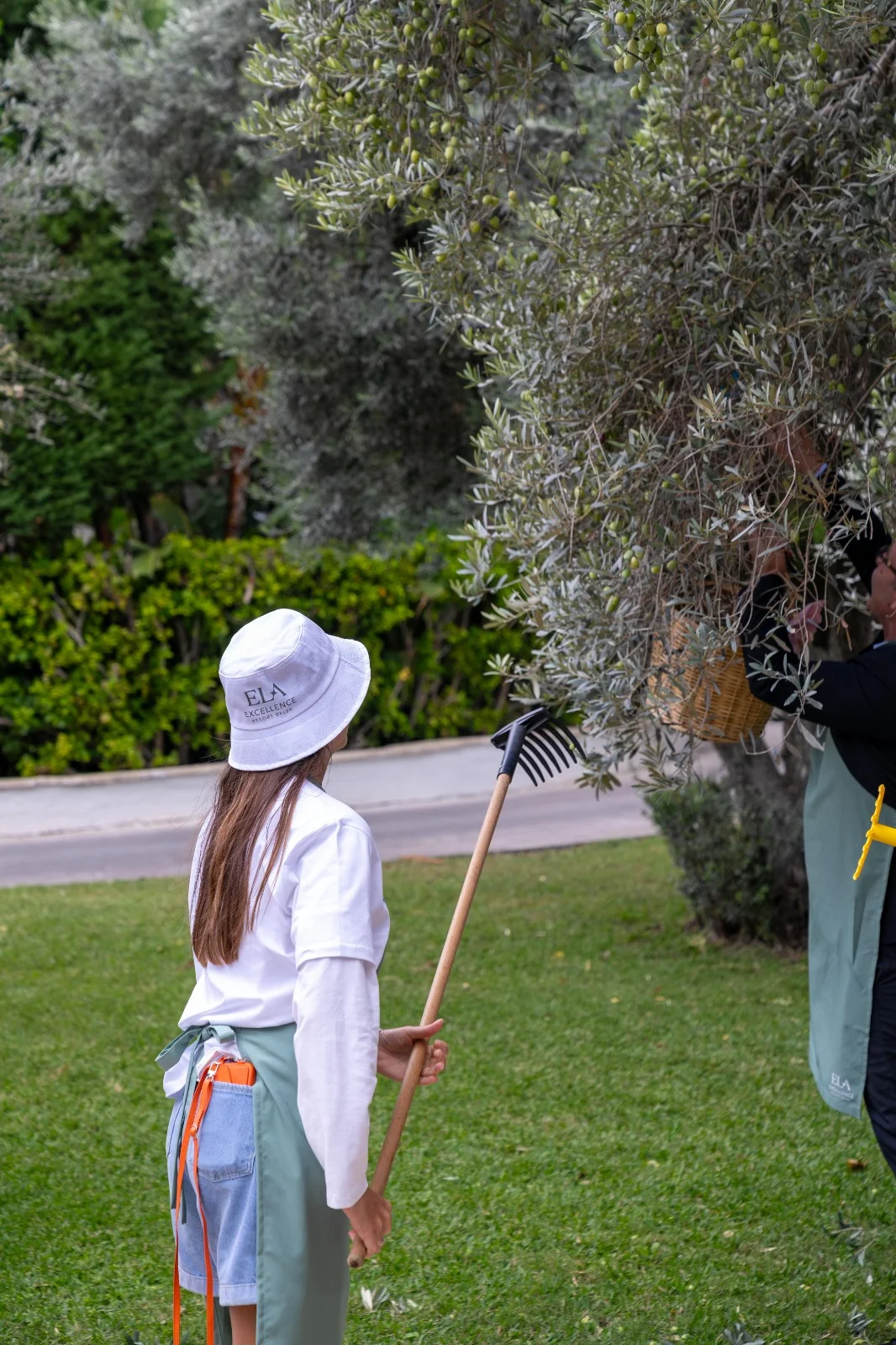Ela Excellence Resort Belek, zeytin kültürünü sanat ve gastronomiyle buluşturdu